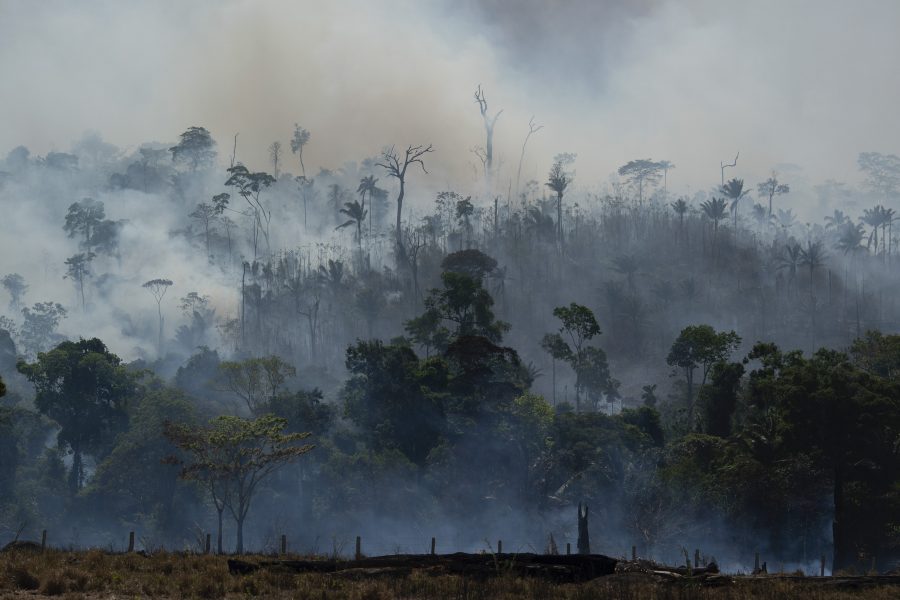 De bränder som används av jordbrukare för att rensa mark från vegetation bidrar till att göra regnskogen torrare, då svarta sotpartiklar absorberar solljus och värmer upp atmosfären, vilket leder till mindre nederbörd.
