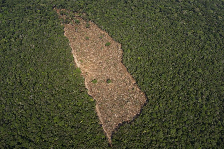 En bit avskogad mark mitt i djungeln i närheten av Porto Velho, Brasilien.