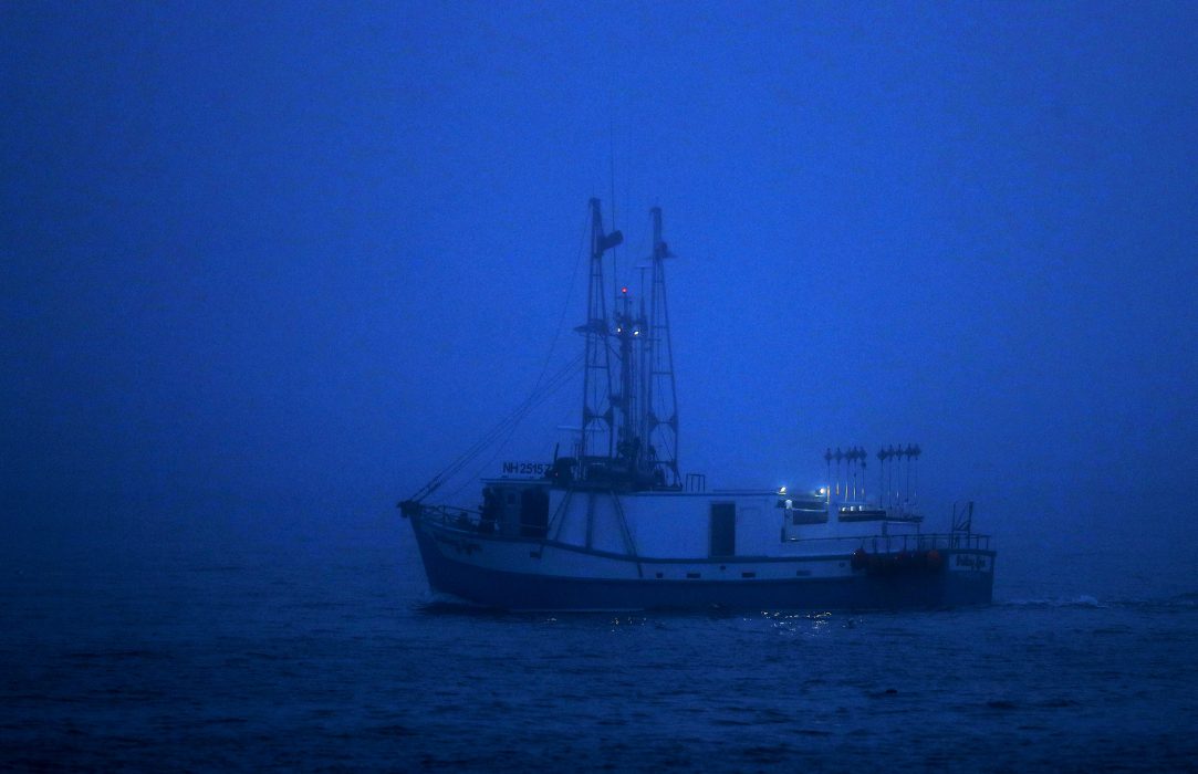 Världshaven har blivit allt mer ansträngda på grund av bland annat överfiske, illegalt fiske, plastavfall och annan nedskräpning, oljeutsläpp samt oansvarig utvinning av olja och gas.