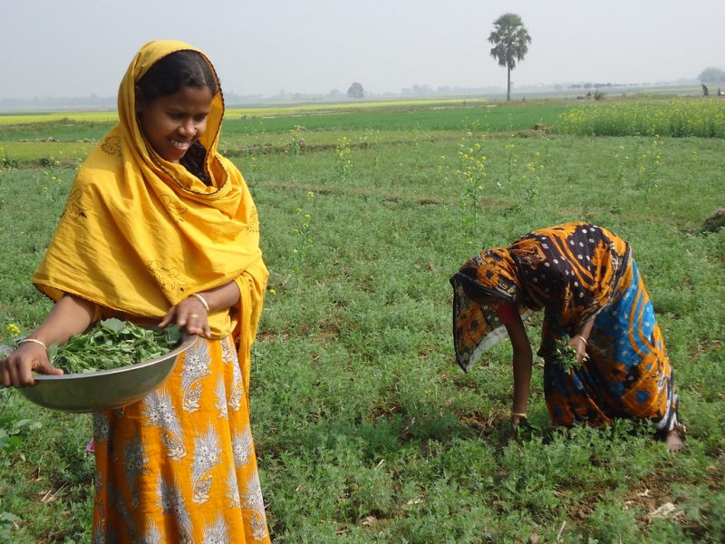 Kvinnliga bönder i norra Bangladesh.