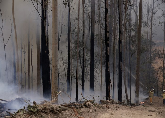 Australia Wildfires