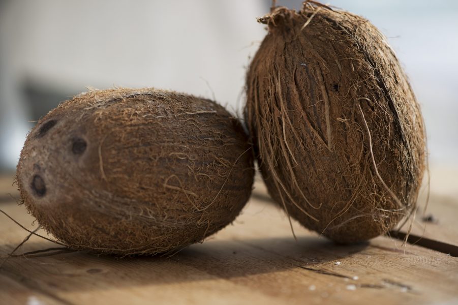 Det yttre höljet på kokosnöten går att använda till odling.