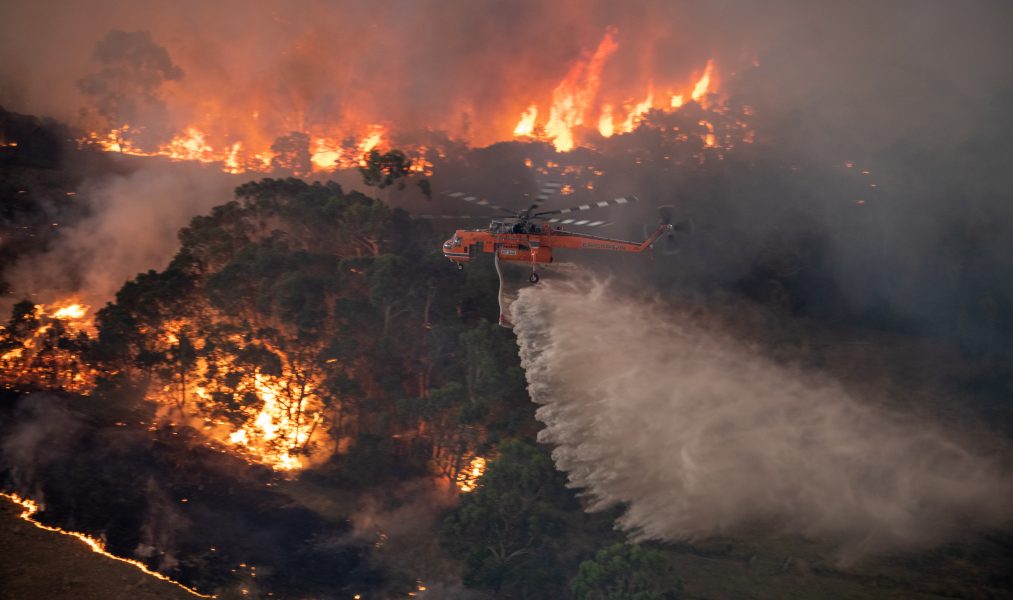 Ekologer vid University of Sydney befarar att 480 miljoner däggdjur, reptiler och fåglar har dött i de australiensiska bränderna.
