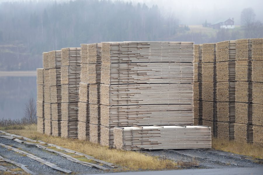 Trä- och massaindustrin har varit i fokus för skogsindustrin i över 150 år.