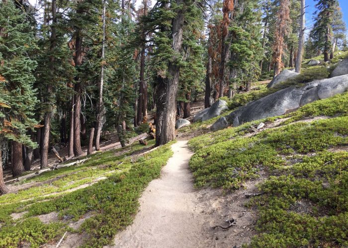 YOSEMITE NATIONALPARK
