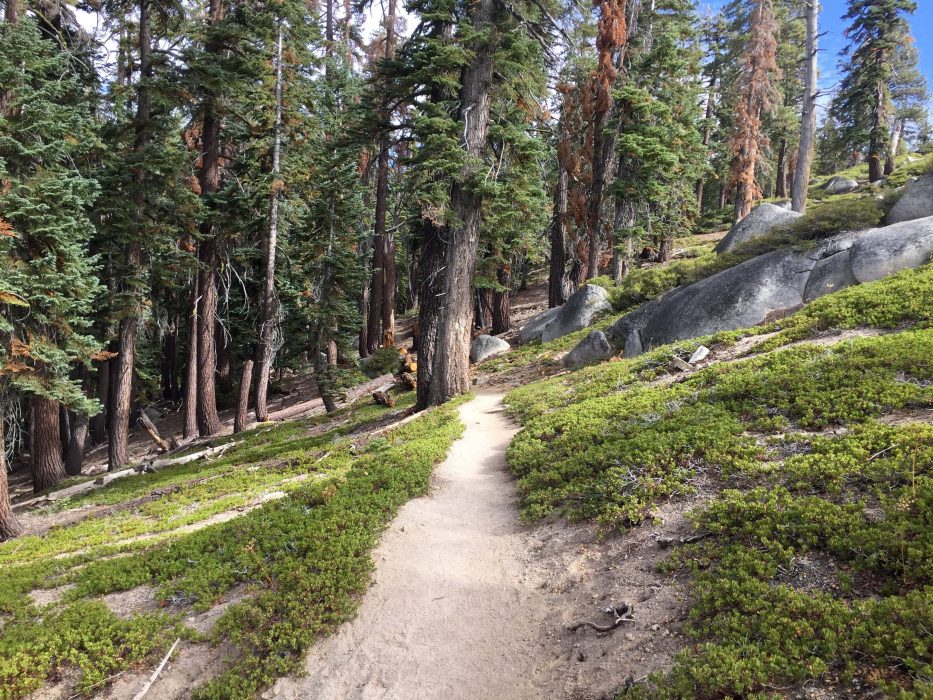 Nationalparken Yosemite i USA, en av världens mest berömda skyddade naturområden.