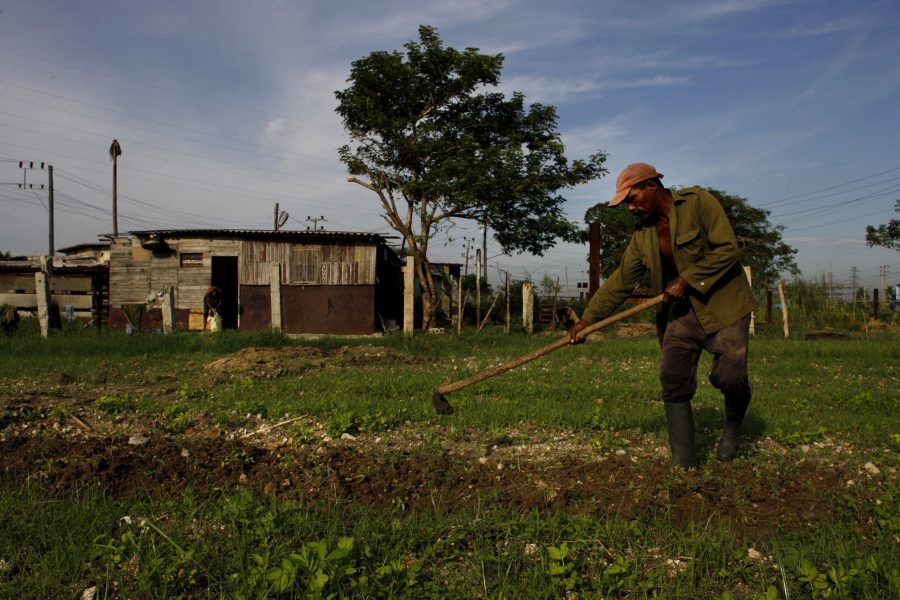 Sovjets kollaps fick jordbrukare att styra om till ett mer ekologiskt och mindre oljeberoende jordbruk.