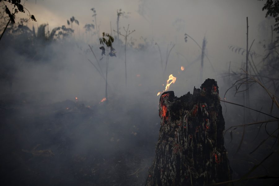 När Amazonas brann åkte inga klimataktivister dit och hjälpte till.