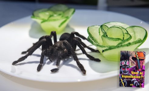 WEB_INRIKES