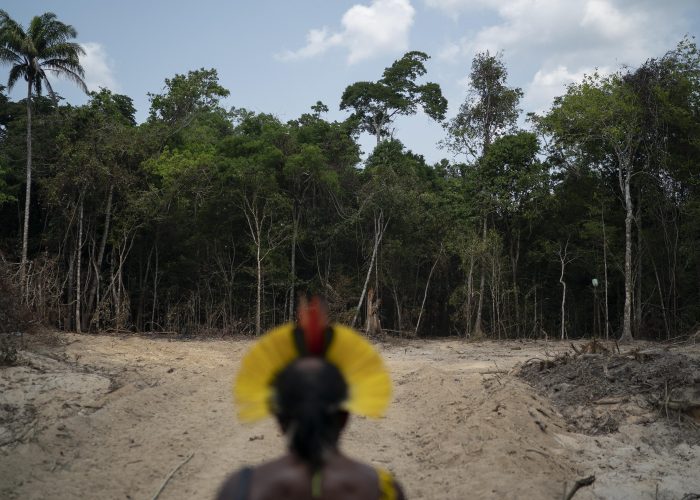 Brazil Deforestation
