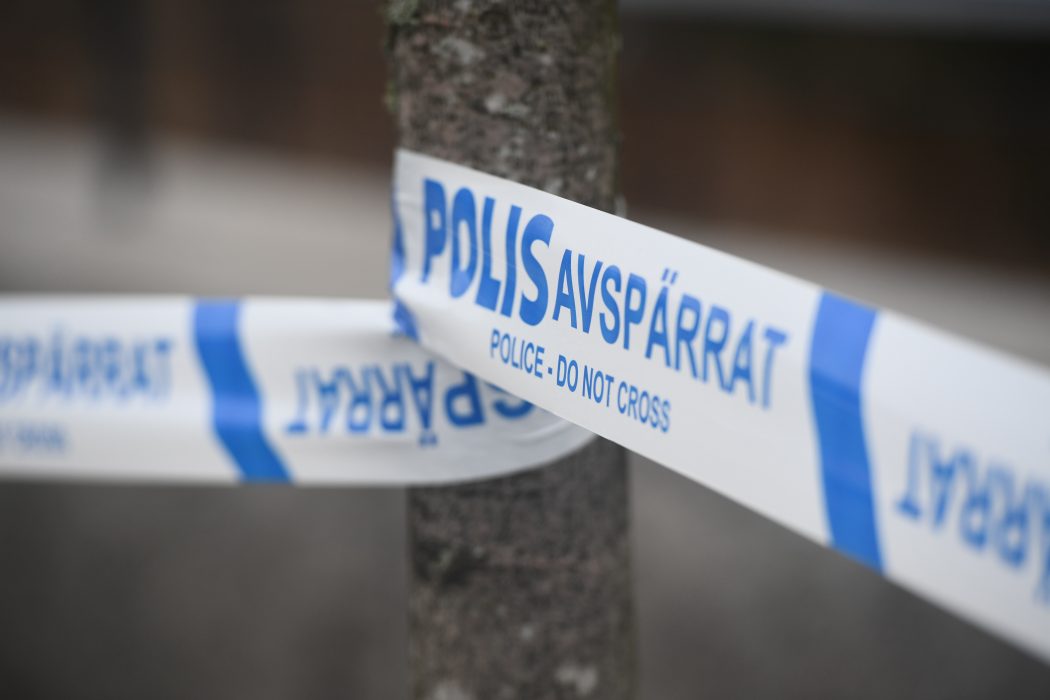 Polisen uppger ett tekniskt fel som anledning till att personer har fått ut felaktiga uppgifter om sig själva från belastningsregistret.