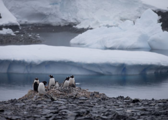 TOPP APTOPIX Antarctica Glacial Melting