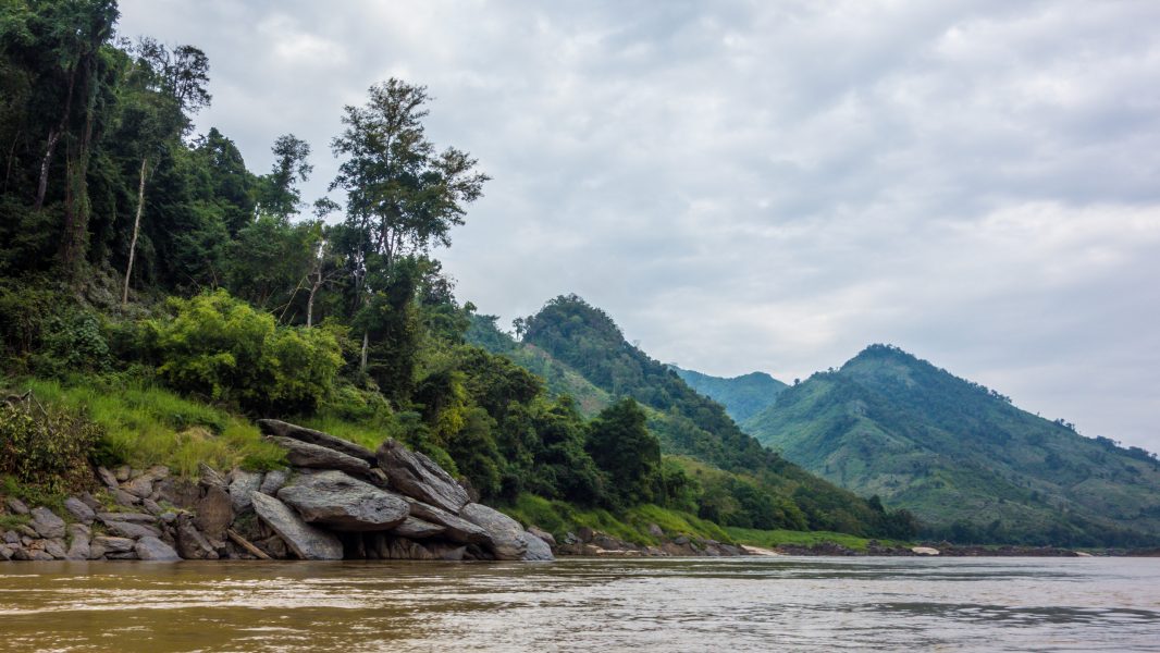 Mekongfloden är livsnödvändig för både djur och människor.