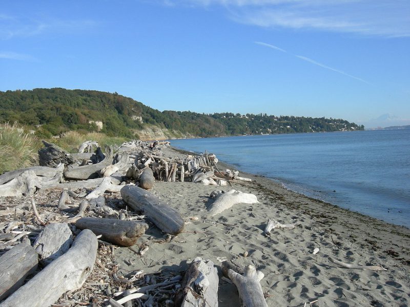 Intervjustudien gjordes i Discovery park, Seattle.