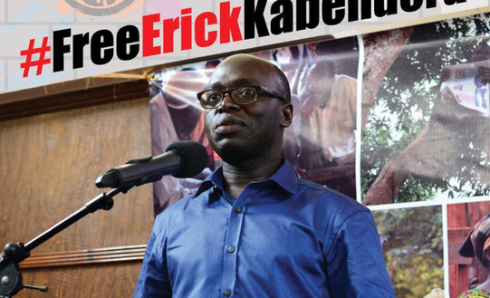 Journalisten Erick Kabendera har nu släppts efter att ha suttit fängslad i sex månaders tid.