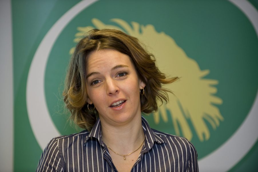 Den svenska FN-experten Zaida Catalán hade en bakgrund i Miljöpartiet.