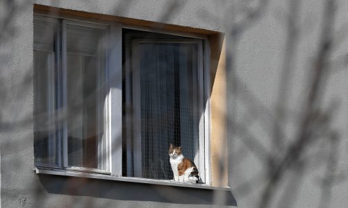 Virus Outbreak Serbia