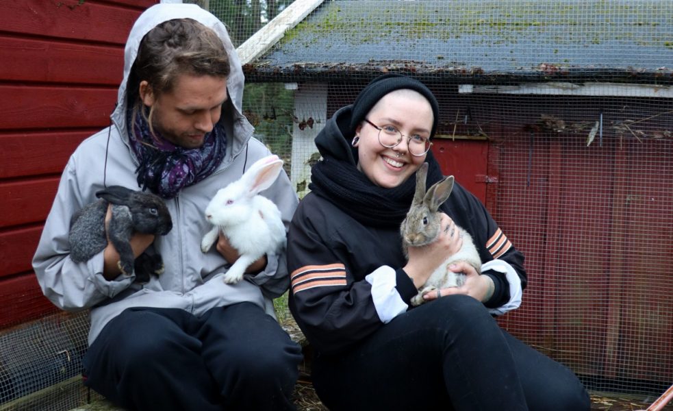 Natanael Sällqvist och Lykke Cahier Brodin fritog tre kaniner.