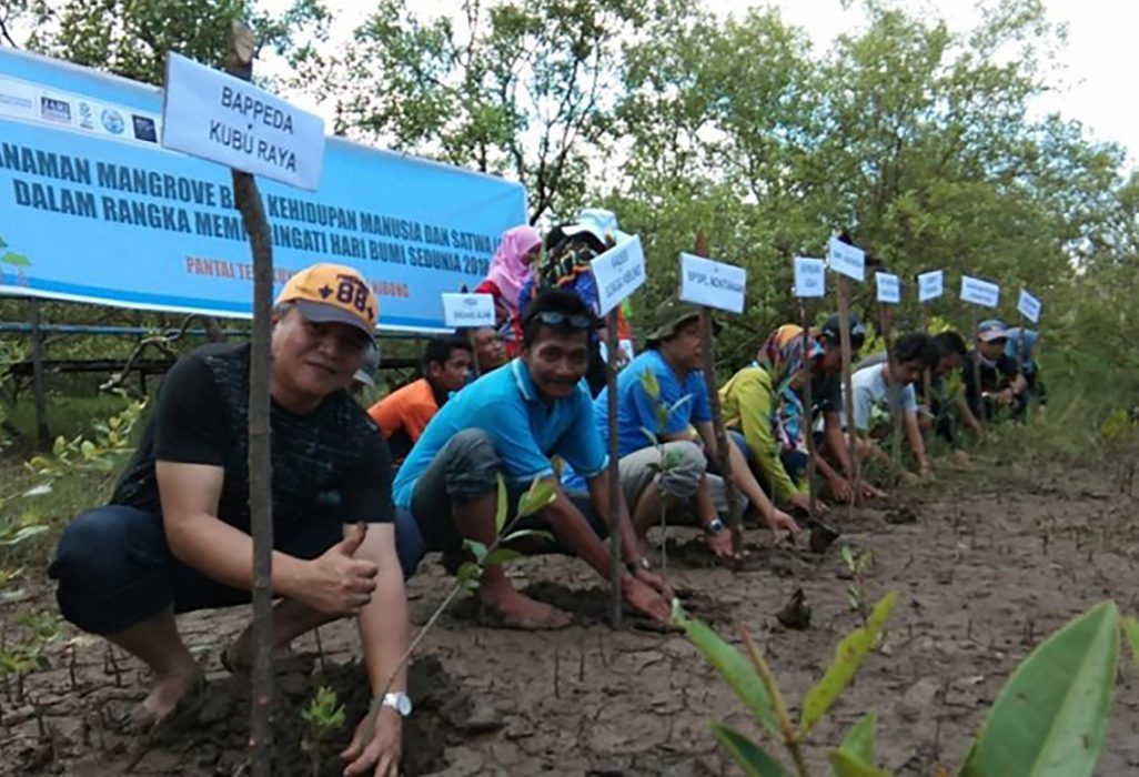 Byledaren Svarif Ibrahim (andra från vänster) i fiskebyn Sungai Nibung vid plantering av mangroveträd i västra Kalimantan på Borneo.