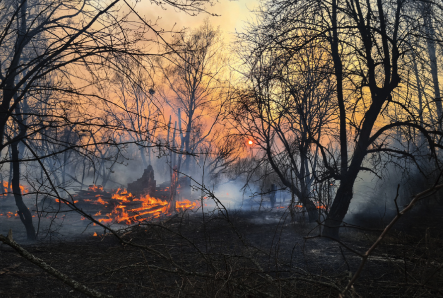 Skogsbranden i den avspärrade zonen nära kärnkraftverket i Tjernobyl.