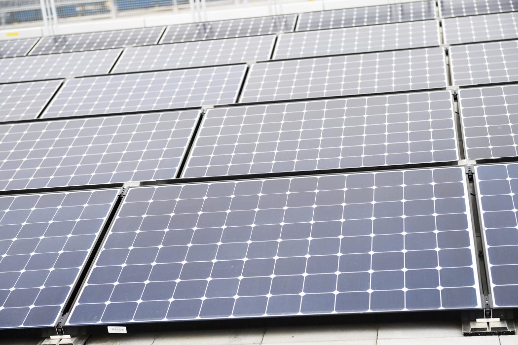 Solceller blir en allt vanligare syn på svenska tak.