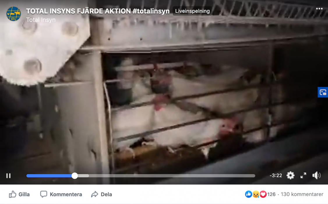 Total insyn sände live på Facebook.