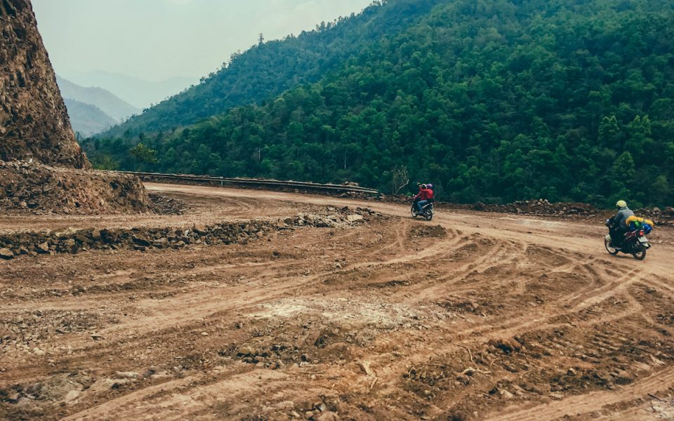 Vietnams artrika skogar hotas av avskogning.