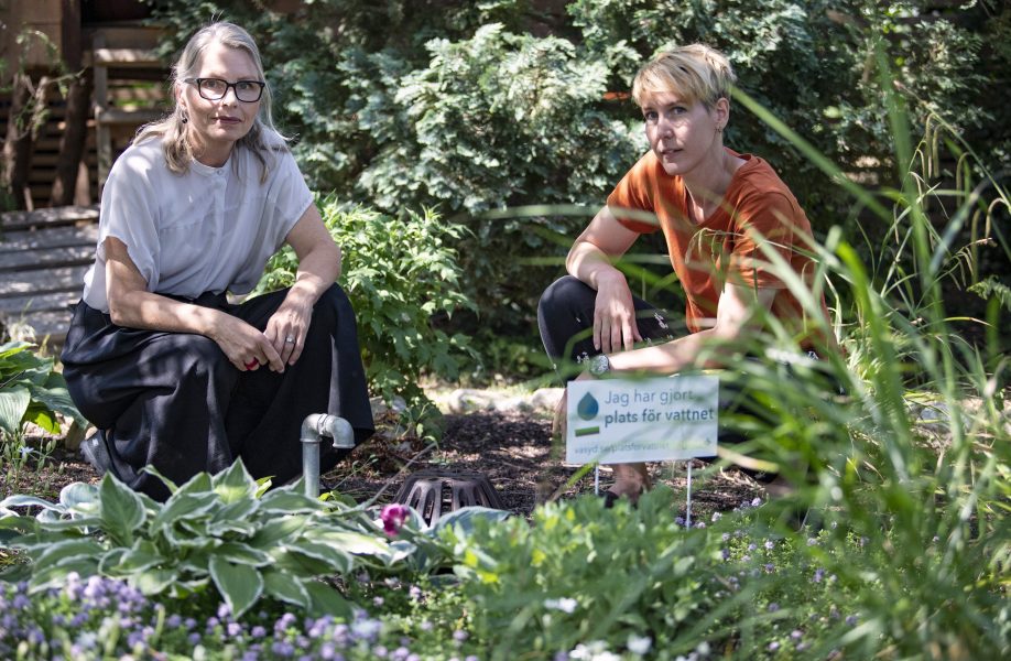 Kommunikatör Nina Steiner (till vänster) och dagvattenexpert Kristina Hall vid en beväxt stenkista i en trädgård.