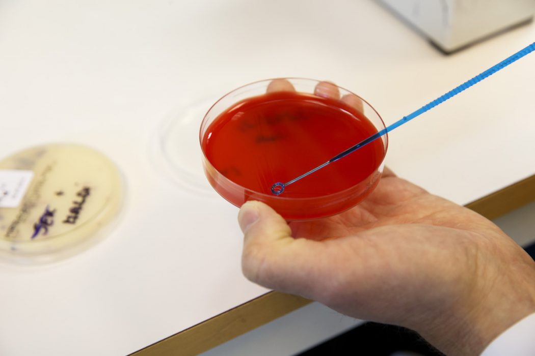 Multiresistenta bakterier är ett växande folkhälsoproblem, både i Sverige och globalt.