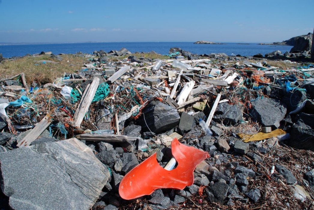 Plastskräp på en strand längs västkusten.