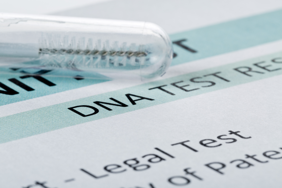 Många skickar dna till släktforskningsdatabaser för att få reda på sitt ursprung.