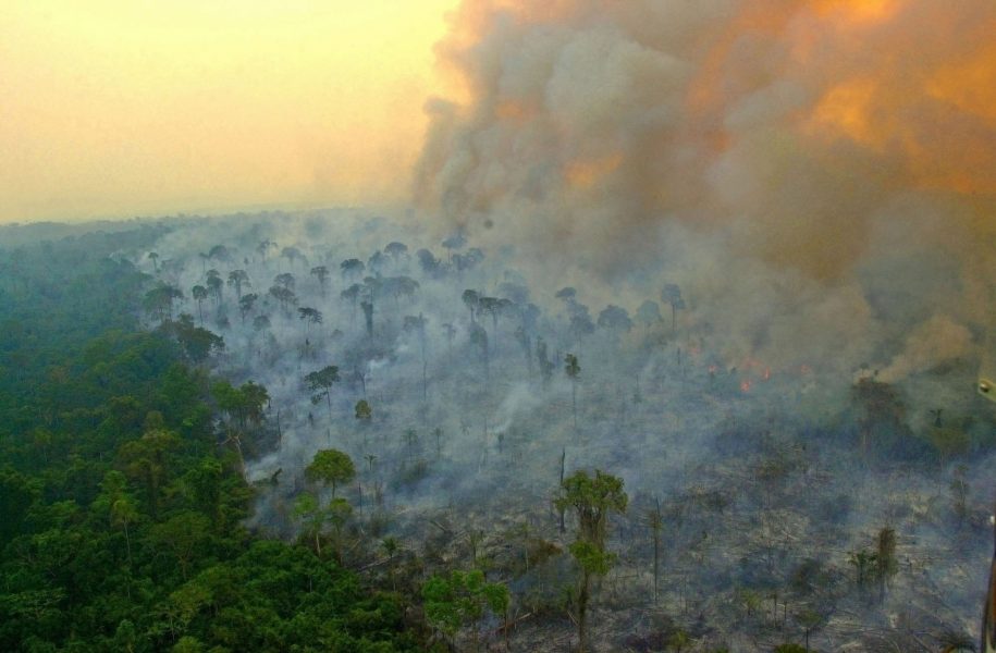 En av många bränder i Amazonas.