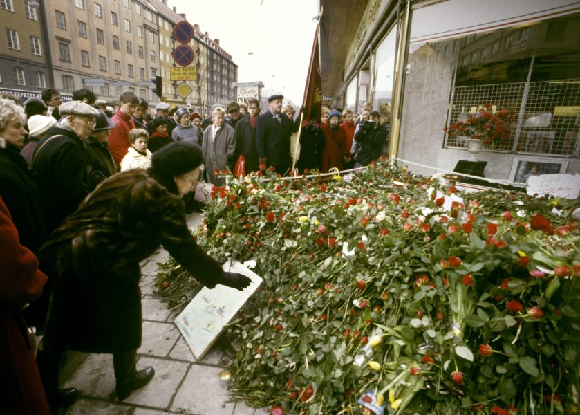 Ett hav av rosor i korsningen Sveavägen-Tunnelgatan där Olof Palme sköts till döds den 28 februari 1986.