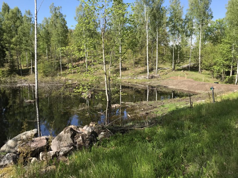 Grävsätters landskap där ett nytt våtmarksområde anlagts.
