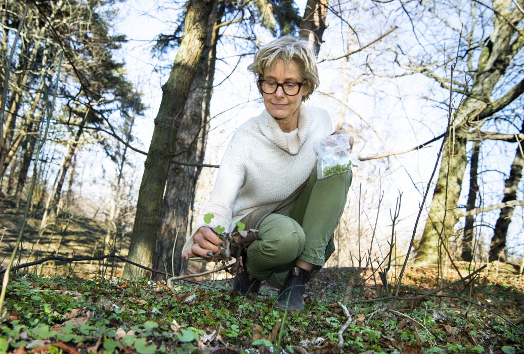 "Jag upptäckte själv hur läkande naturen var när jag blev utbränd för många år sedan.