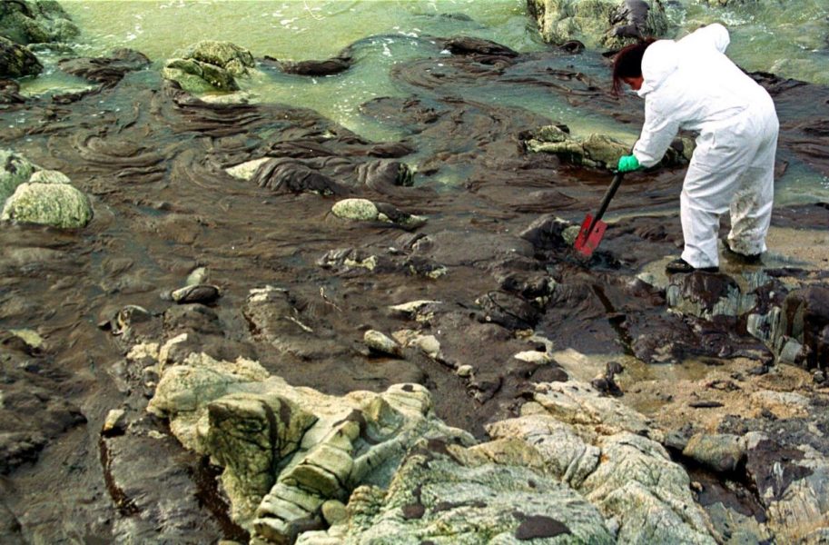 En volontär städar stranden i Le croisic på den franska västkusten efter att oljefartyget Erika sjönk och släppte ut mer än 11 miljoner liter olja i december1999.