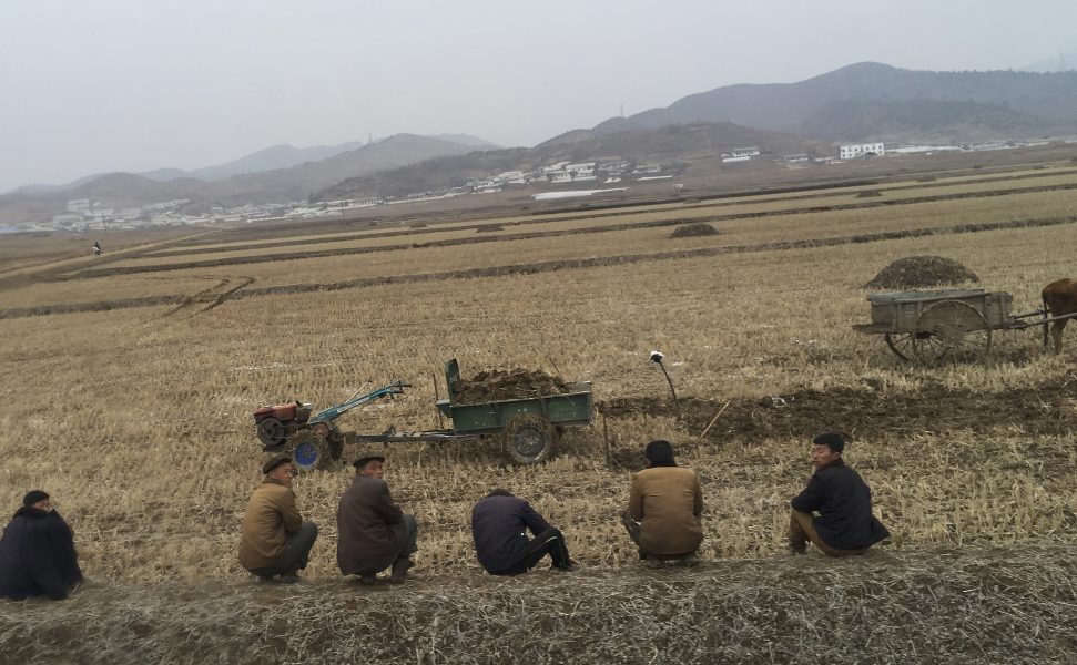 Några bönder i Nordkorea tar en paus i arbetet.