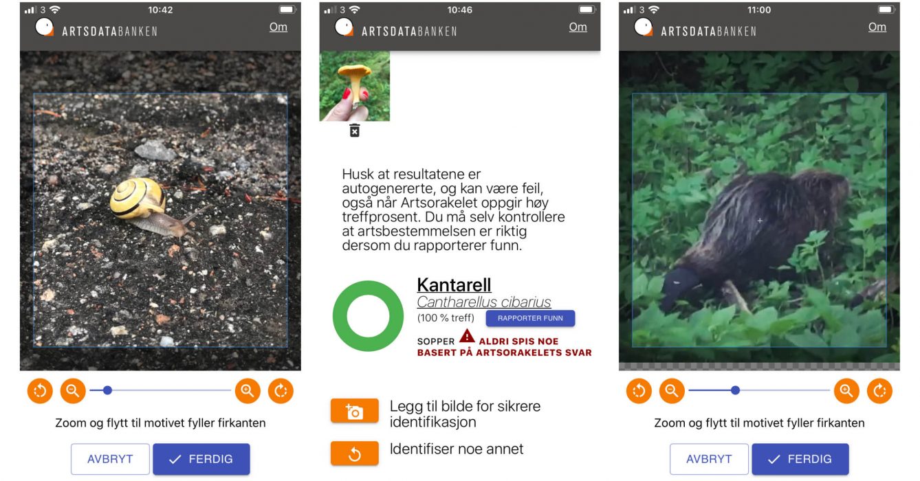 App För Att Identifiera Växter