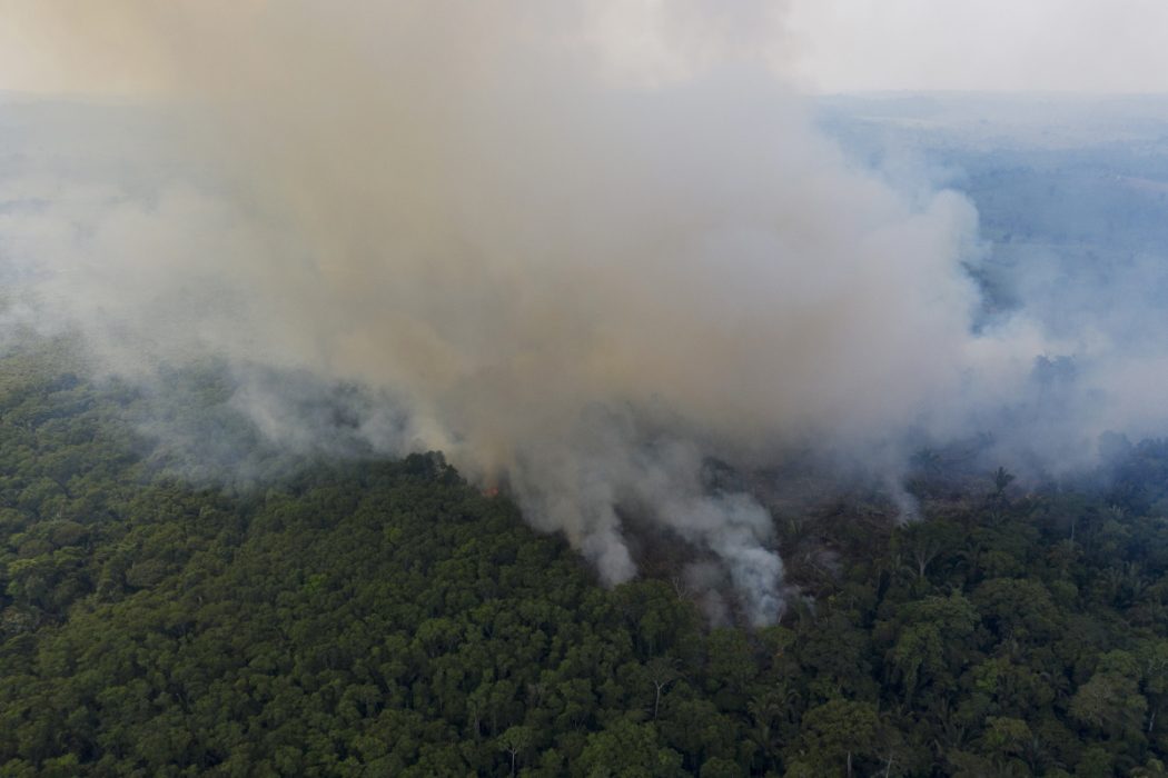 En skogsbrand i Amazonas i november i fjol.