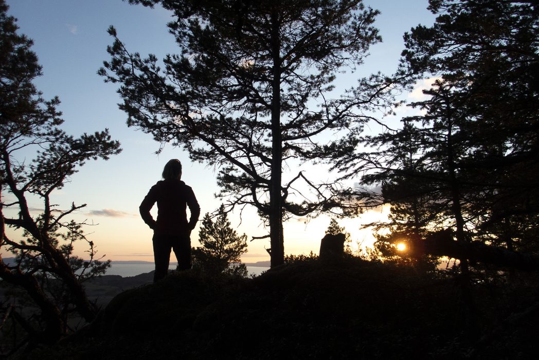 Skogen måste nu brukas med största möjliga försiktighet och vi behöver särskilt se till att bevara markkolet som är en den största kol-poolen i vårt boreala barrskogsbälte, skriver Emma Wallrup.