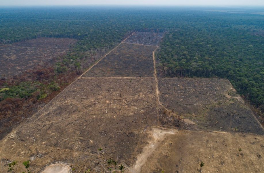 Ett område i Canutama i delstaten Amazonas i Brasilien som i september 2019 brändes och skövlades.