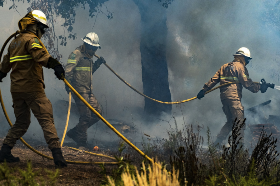 Brandmän försöker släcka en skogsbrand i centrala Portugal i juli förra året.