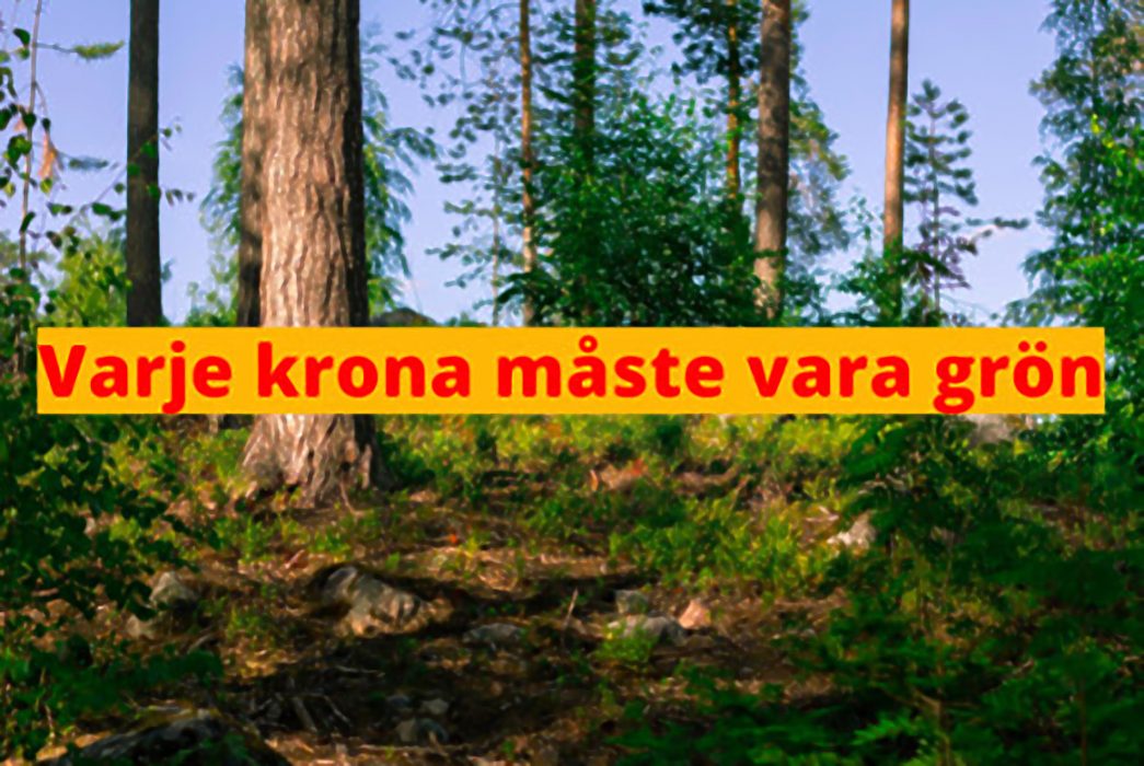 Det är nu vi behöver ha det politiska modet att ställa om finanspolitiken och ekonomin till att respektera de gränser som klimatet och vår biologiska mångfald sätter.