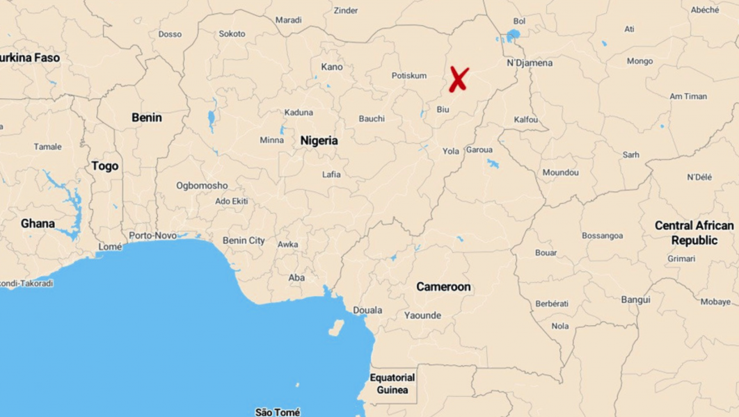 Fem anställda på franska hjälporganisationen Action Contre La Faim har dödats av sina kidnappare i nordöstra Nigeria.