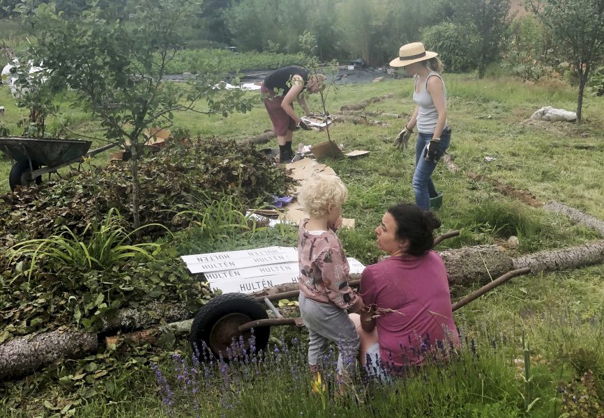 Grupparbete i mikroklimat och jordlära på Villands Vånga veganträdgård med en grupp från Holma folkhögskola som utbildar sig för att ta permakulturcertifikat.