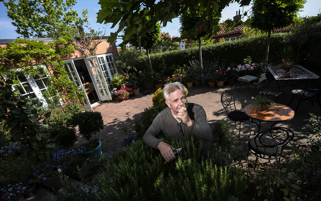 Rosmarin är kanske den viktigaste ingrediensen i Peter Englanders medelhavsträdgård.