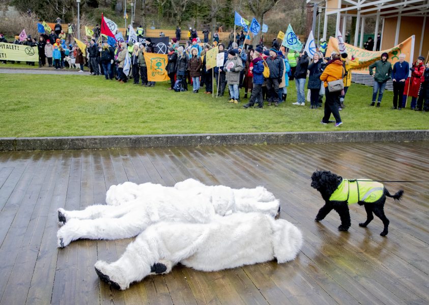 Motståndare till Preems utbyggnad, två av dem utklädda till döda isbjörnar, under rättegången i Mark- och miljödomstolen i mars.