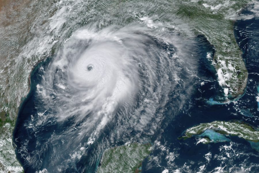 Satellitbild över orkanen Laura nära USA:s sydkust.