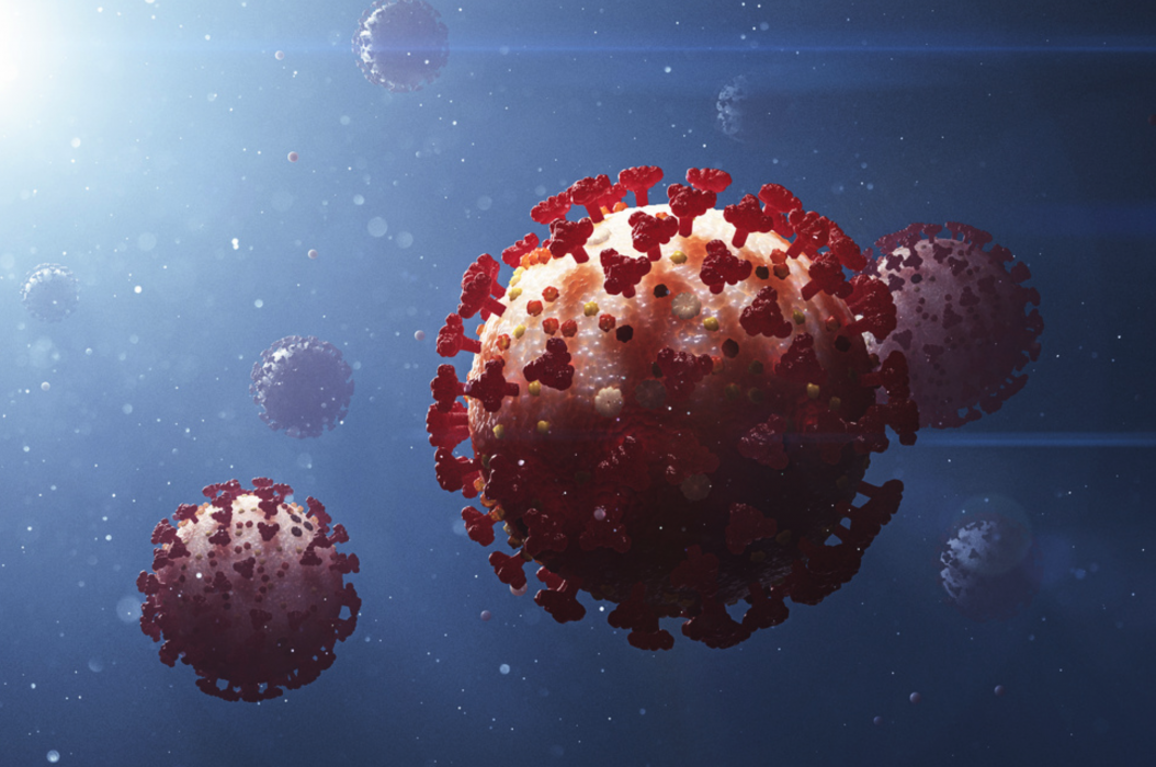 Det finns sju kända coronavirus, var av tre orsakar vanlig förkylning.