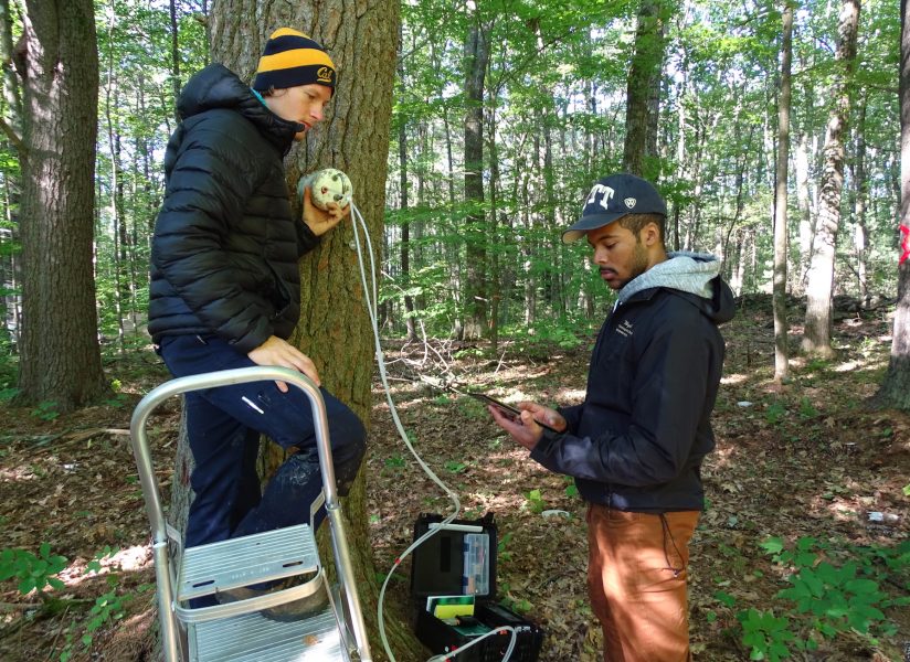 Tim Rademacher och Kyle Wyche mäter en eks "andning" i Harvard forest.